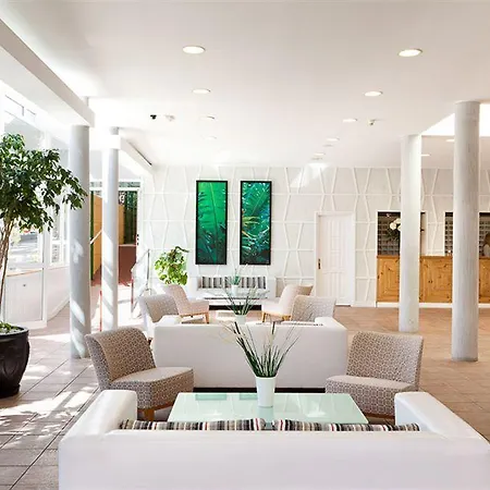 Plataneras Los Cristianos (Tenerife)