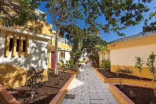 Plataneras Los Cristianos (Tenerife)